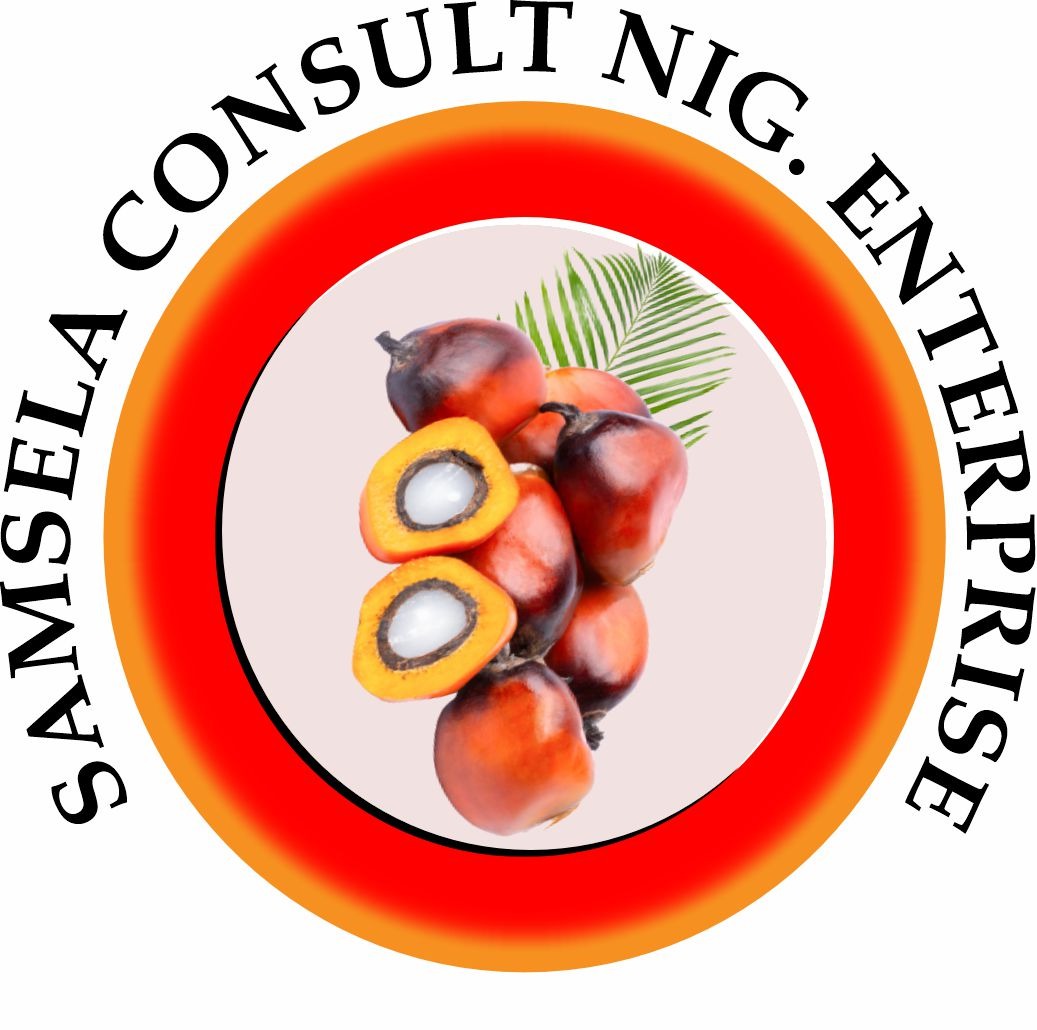 Samsela Consult Nigeria Enterprise